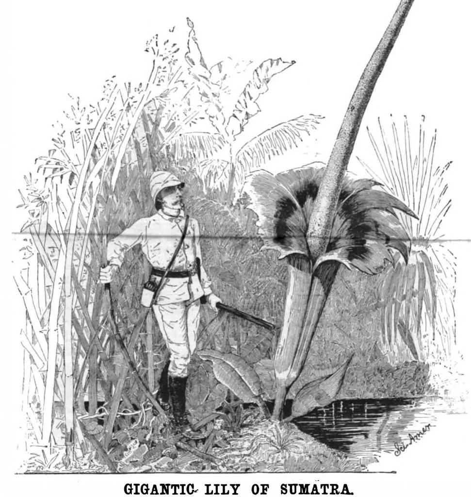 An illustration from Scientific American, Vol. 53, No. 3 (1885), 1885, leaf 8