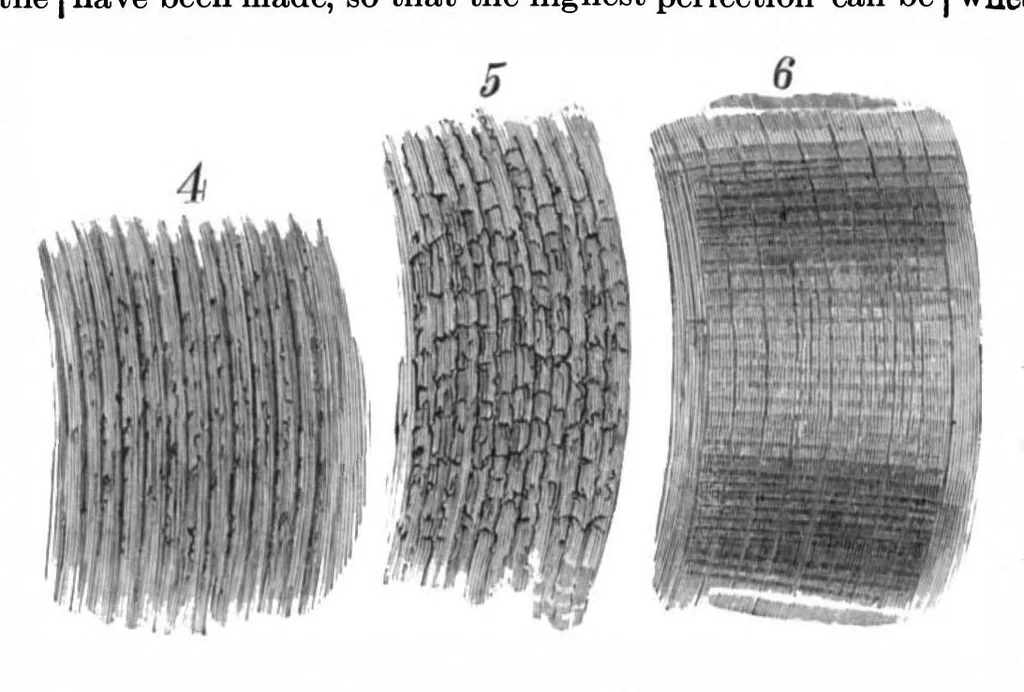 An illustration from Scientific American, Vol. 53, No. 4 (1885), 1885, leaf 7