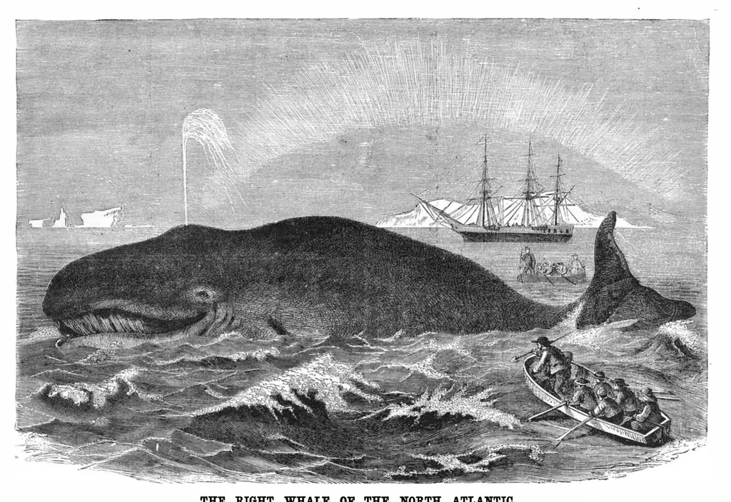 An illustration from Scientific American, Vol. 53, No. 6 (1885), 1885, leaf 8
