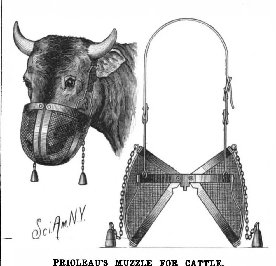 An illustration from Scientific American, Vol. 53, No. 7 (1885), 1885, leaf 5
