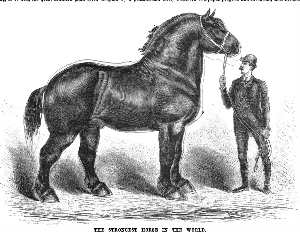 An illustration from Scientific American, Vol. 53, No. 8 (1885), 1885, leaf 10