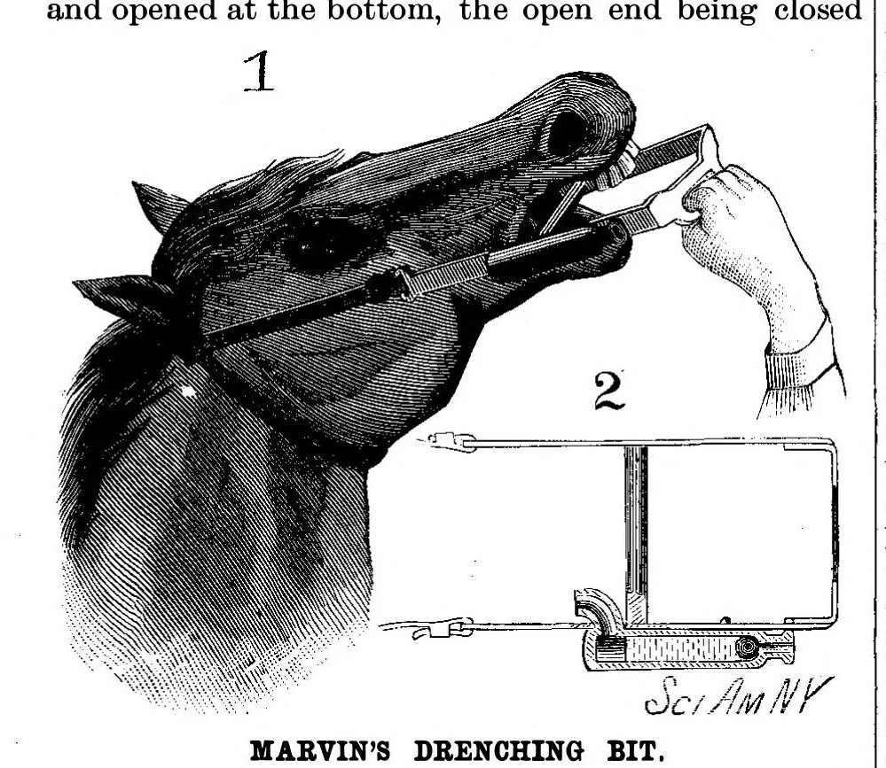 An illustration from Scientific American, Vol. 53, No. 11 (1885), 1885, leaf 3
