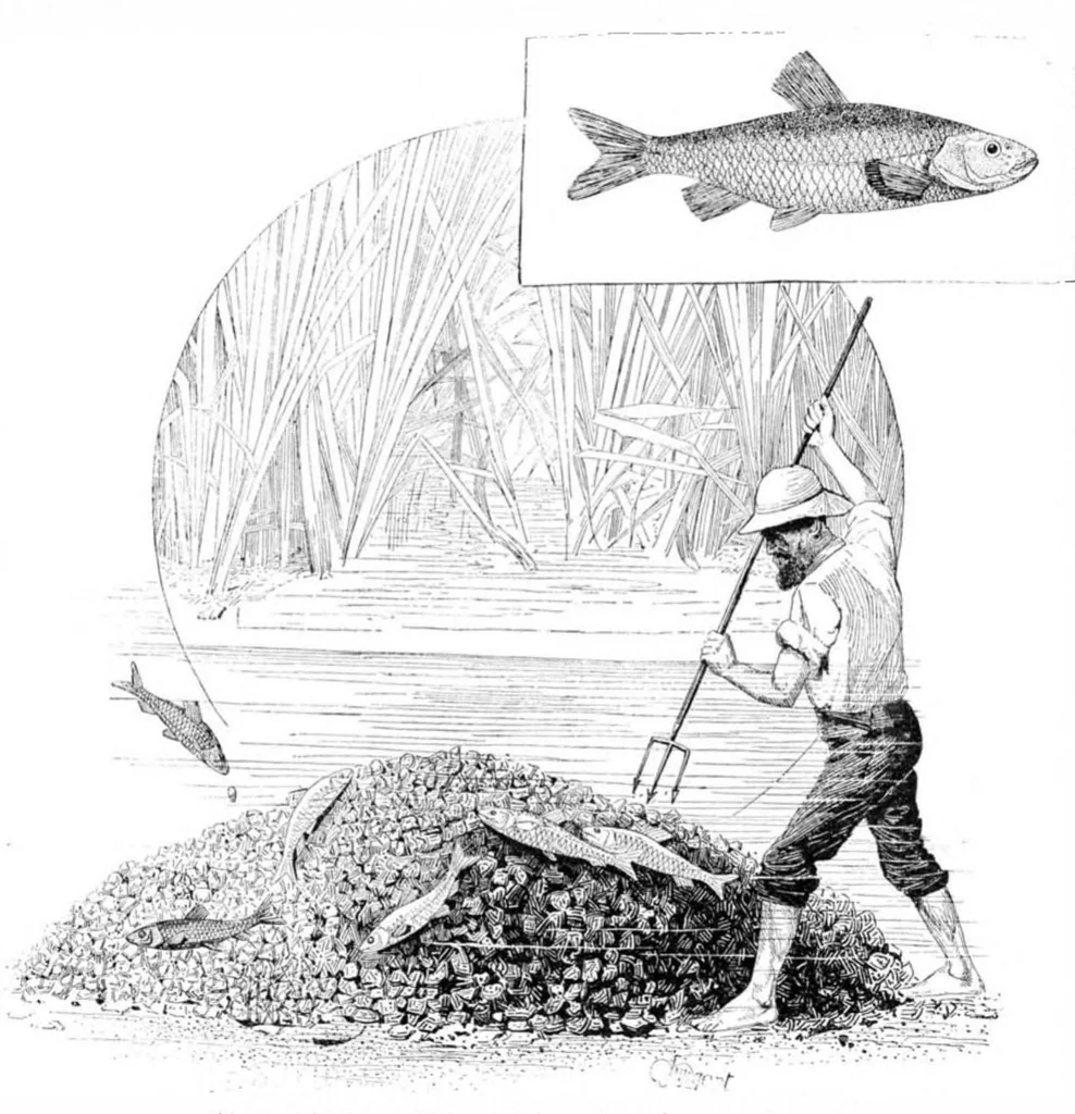 An illustration from Scientific American, Vol. 53, No. 14 (1885), 1885, leaf 8