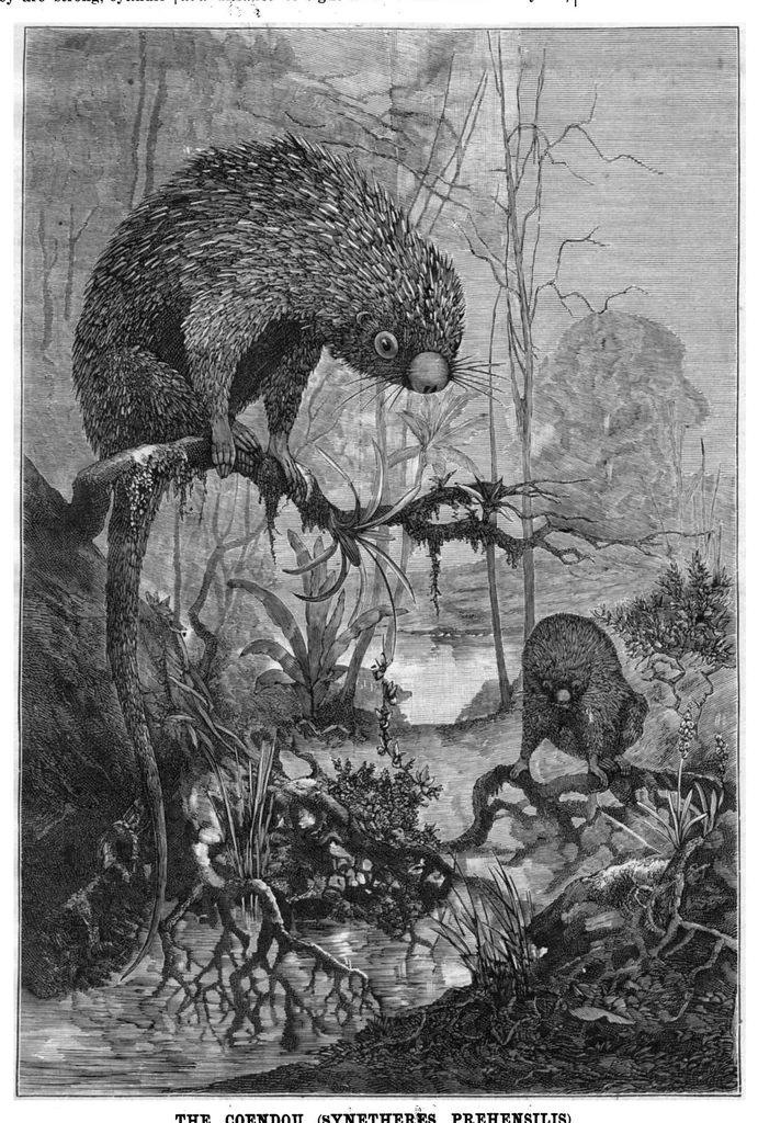 An illustration from Scientific American, Vol. 53, No. 20 (1885), 1885, leaf 10