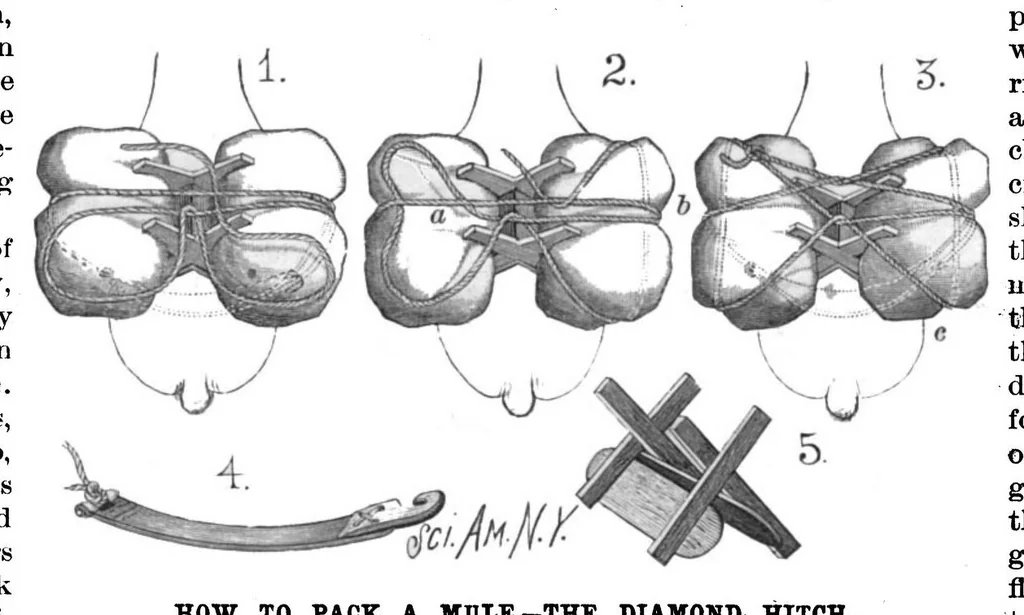An illustration from Scientific American, Vol. 53, No. 20 (1885), 1885, leaf 9