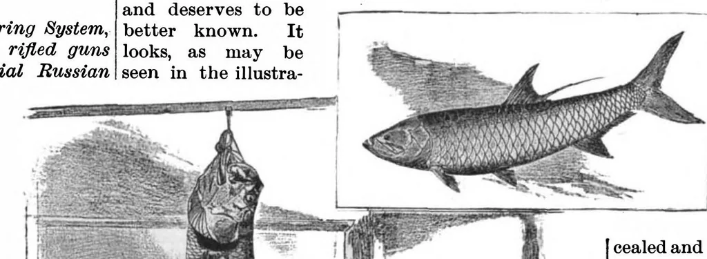 An illustration from Scientific American, Vol. 53, No. 23 (1885), 1885, leaf 9