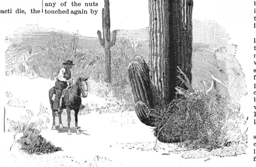 An illustration from Scientific American, Vol. 53, No. 24 (1885), 1885, leaf 8