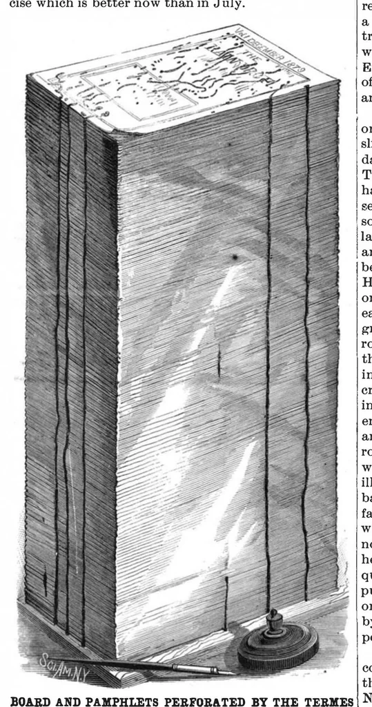 An illustration from Scientific American, Vol. 54, No. 5 (1886), 1886, leaf 8
