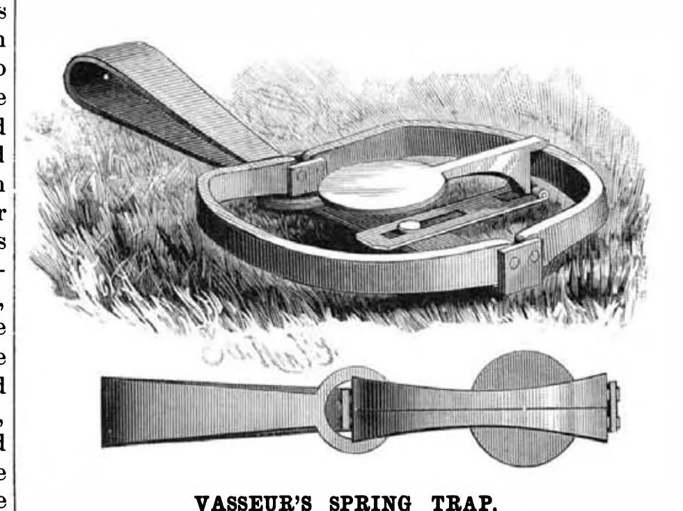 An illustration from Scientific American, Vol. 54, No. 6 (1886), 1886, leaf 3