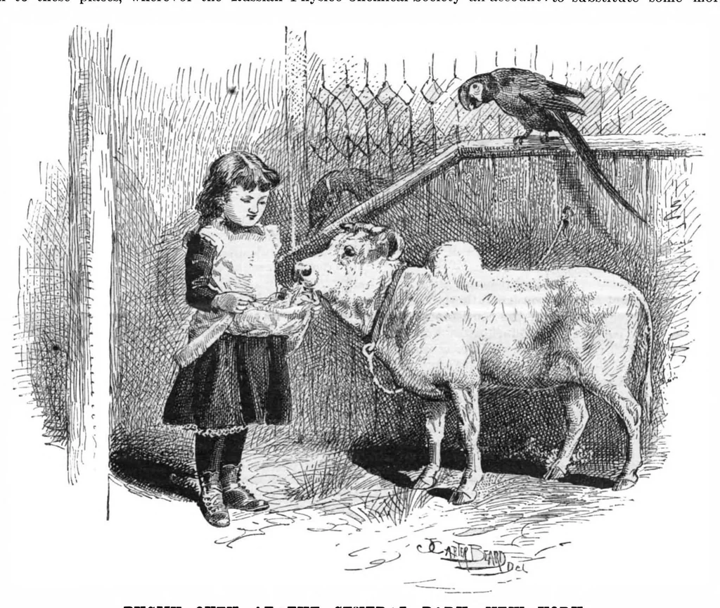 An illustration from Scientific American, Vol. 54, No. 16 (1886), 1886, leaf 10