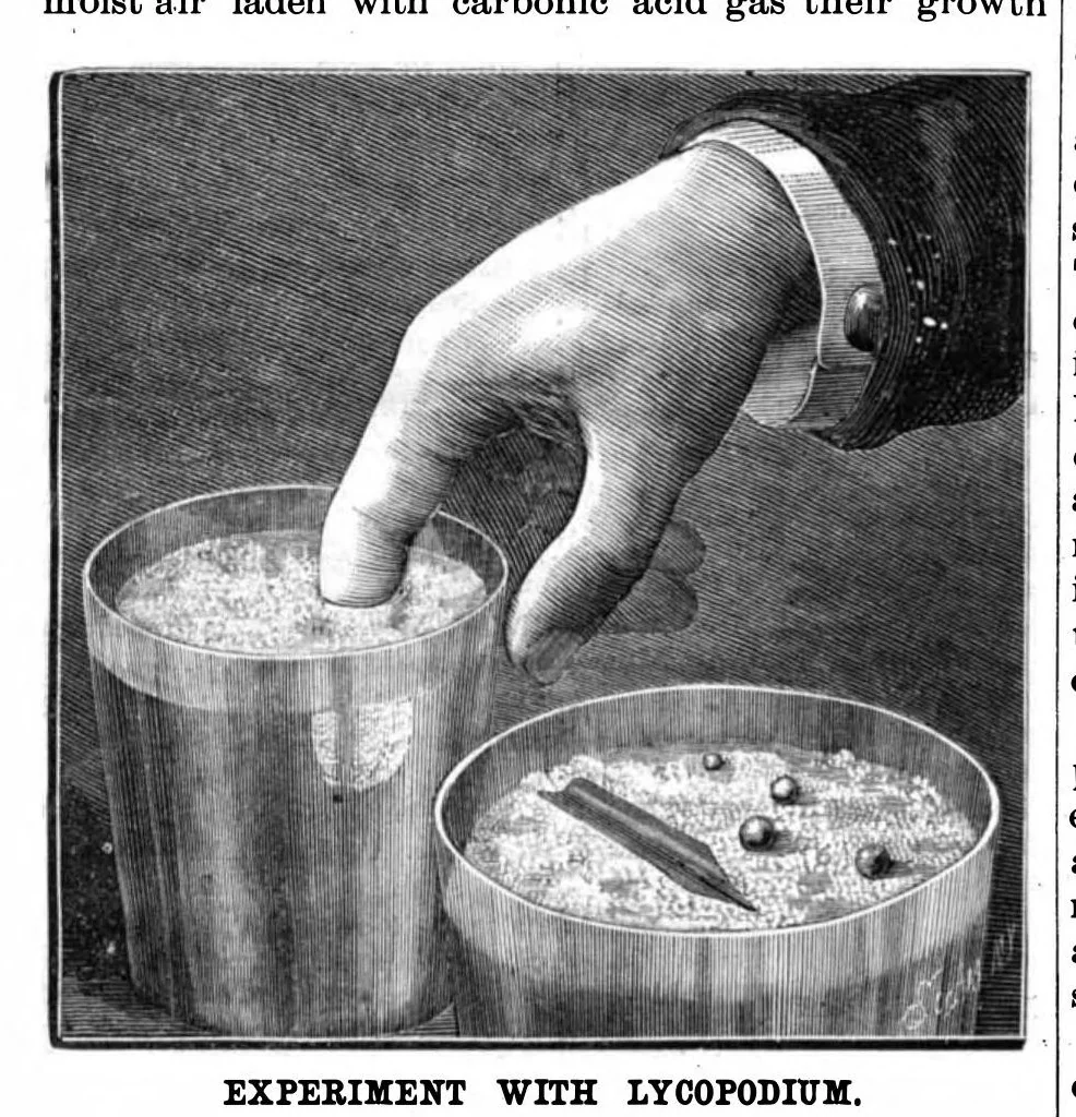 An illustration from Scientific American, Vol. 54, No. 25 (1886), 1886, leaf 10