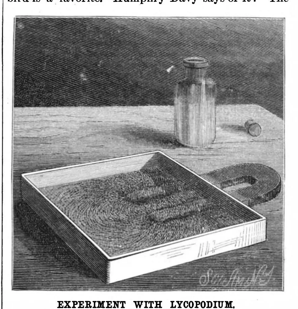 An illustration from Scientific American, Vol. 54, No. 25 (1886), 1886, leaf 10