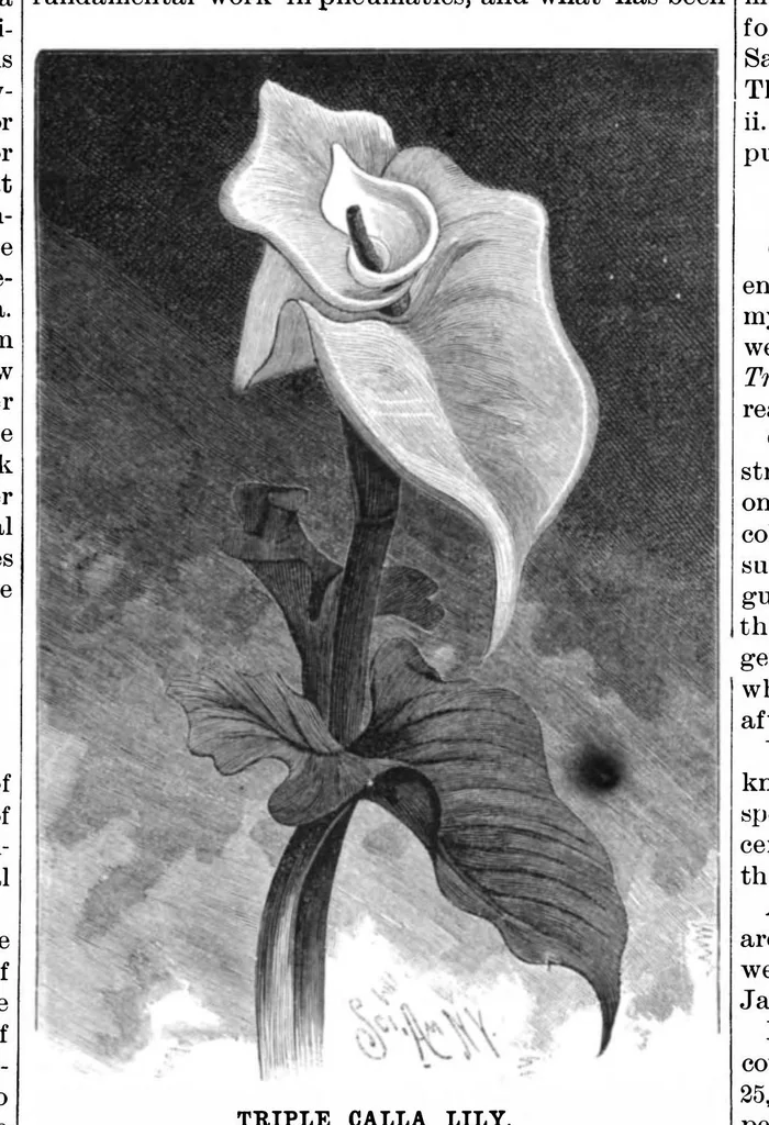An illustration from Scientific American, Vol. 55, No. 1 (1886), 1886, leaf 8