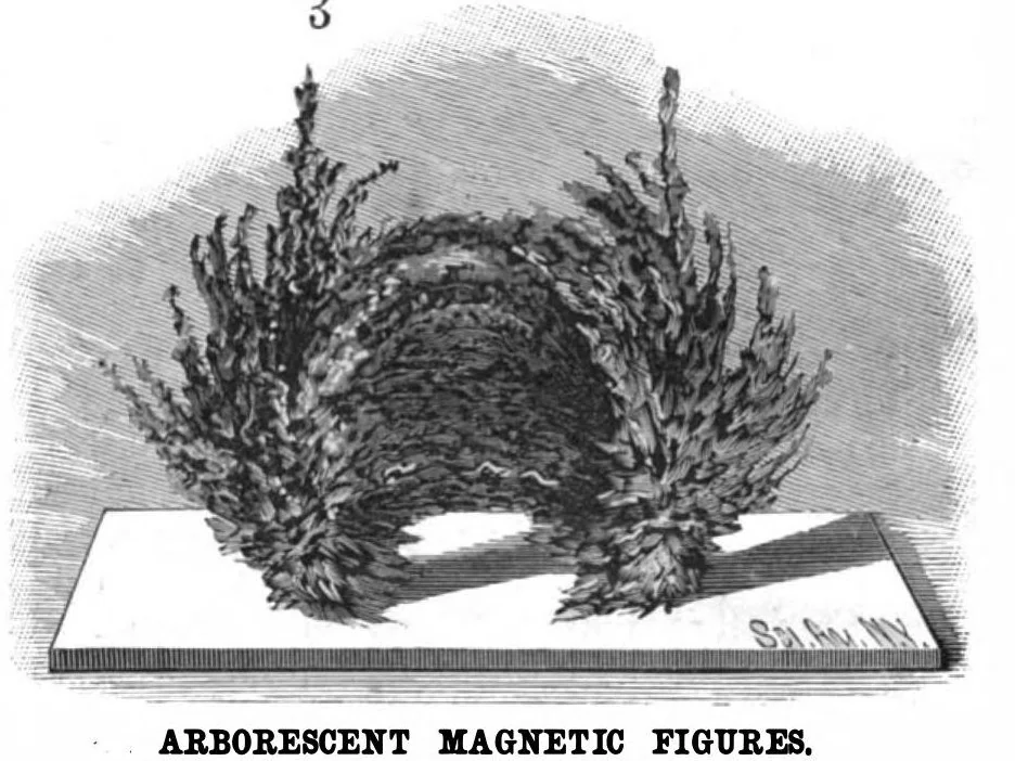 An illustration from Scientific American, Vol. 55, No. 7 (1886), 1886, leaf 7