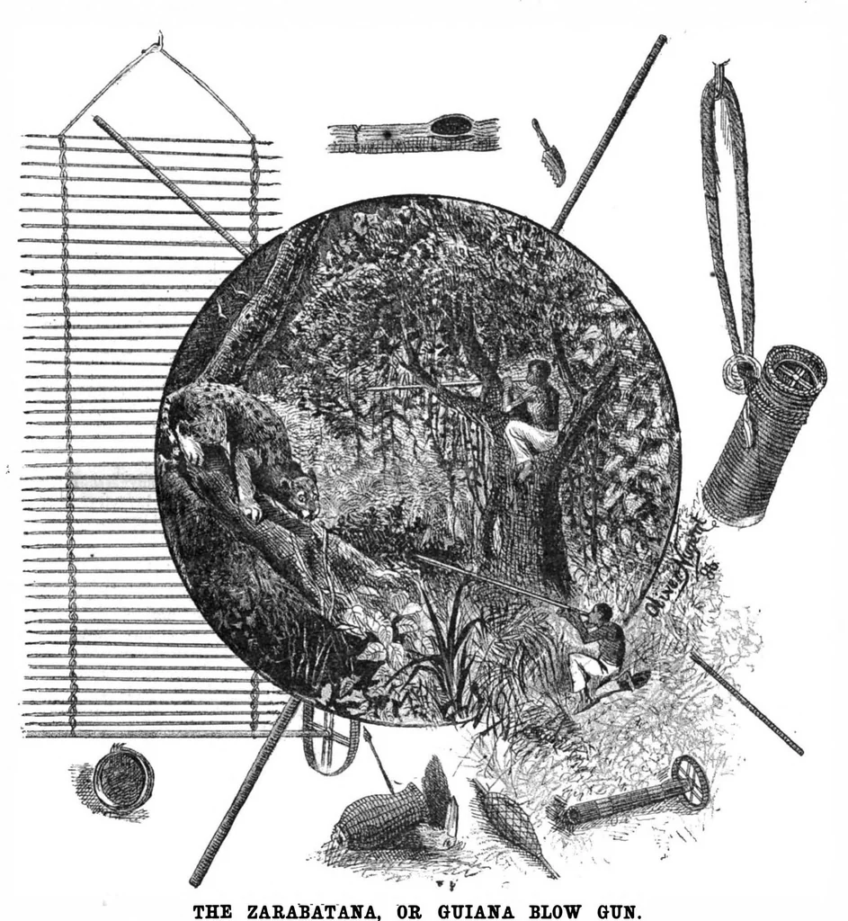 An illustration from Scientific American, Vol. 55, No. 8 (1886), 1886, leaf 10