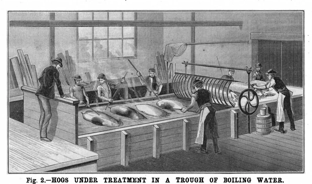 An illustration from Scientific American, Vol. 55, No. 8 (1886), 1886, leaf 9