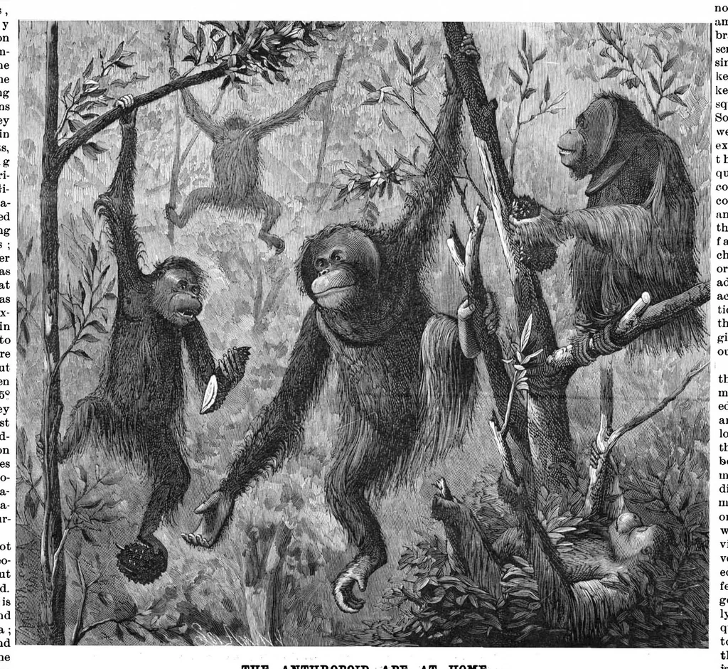 An illustration from Scientific American, Vol. 55, No. 17 (1886), 1886, leaf 8