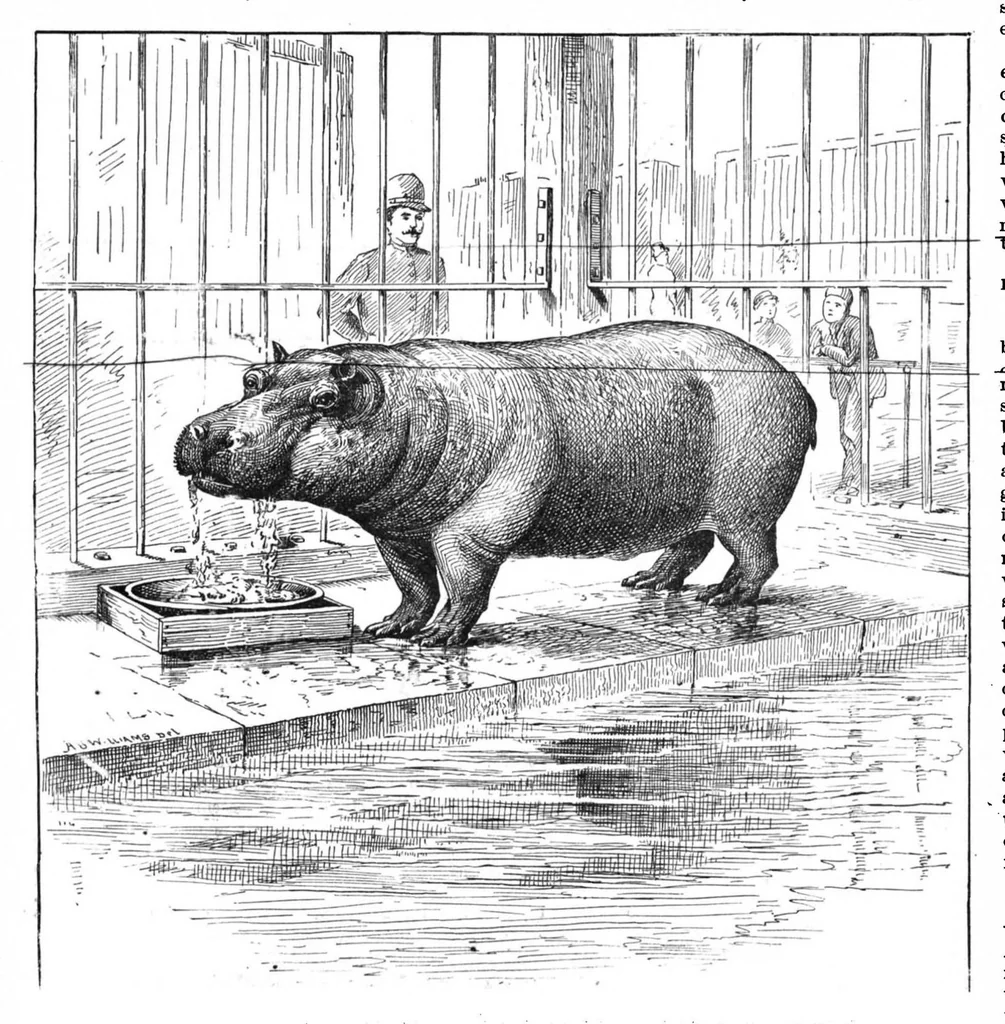 An illustration from Scientific American, Vol. 55, No. 20 (1886), 1886, leaf 10