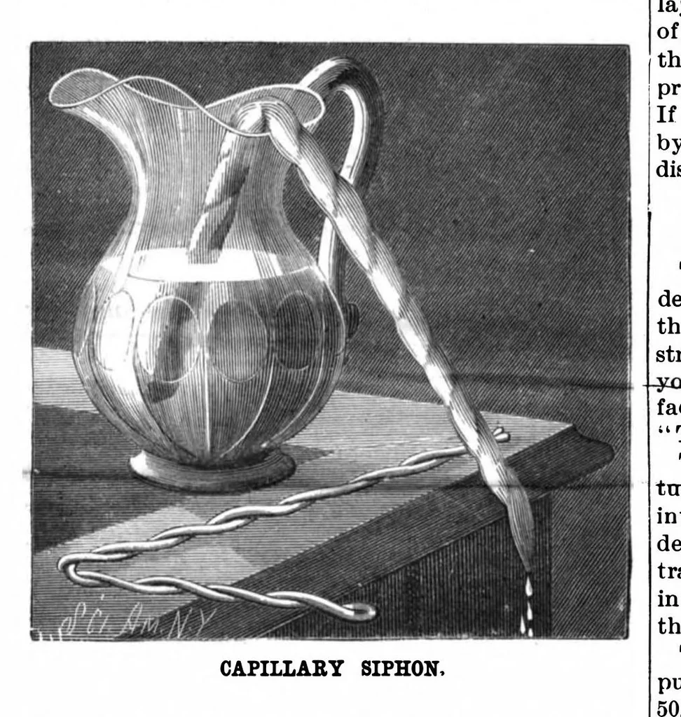 An illustration from Scientific American, Vol. 55, No. 22 (1886), 1886, leaf 10