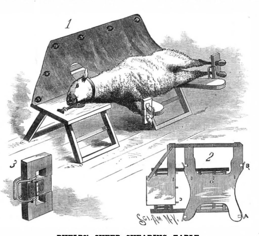 An illustration from Scientific American, Vol. 55, No. 24 (1886), 1886, leaf 4