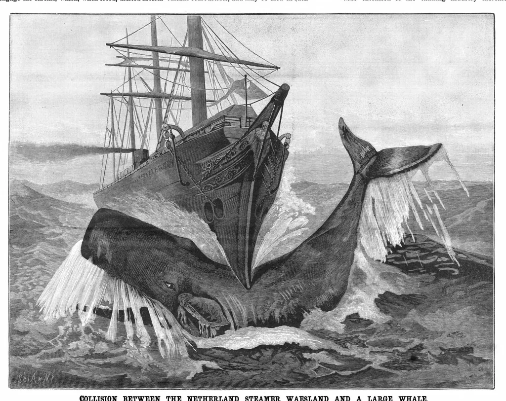 An illustration from Scientific American, Vol. 55, No. 24 (1886), 1886, leaf 8