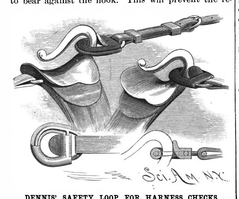 An illustration from Scientific American, Vol. 56, No. 2 (1887), 1887, leaf 5