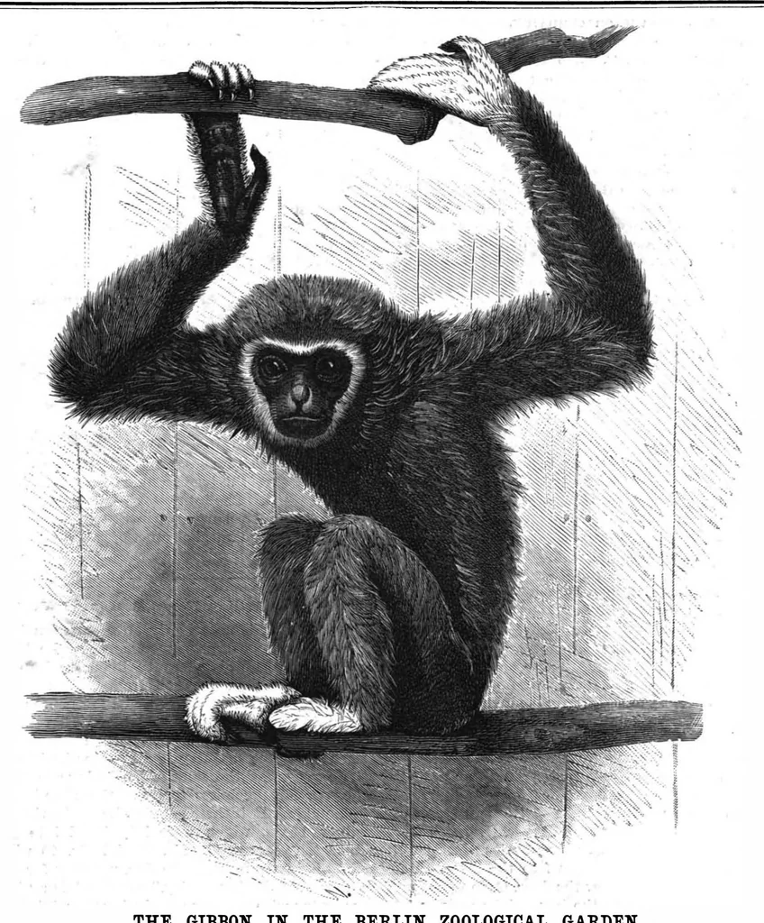 An illustration from Scientific American, Vol. 56, No. 2 (1887), 1887, leaf 8