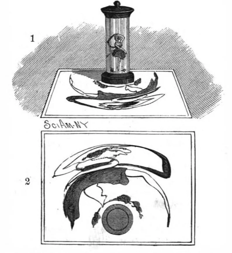 An illustration from Scientific American, Vol. 56, No. 6 (1887), 1887, leaf 10