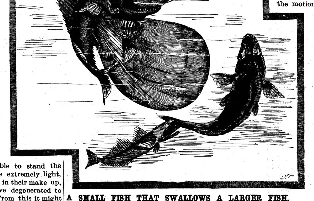 An illustration from Scientific American, Vol. 56, No. 6 (1887), 1887, leaf 8