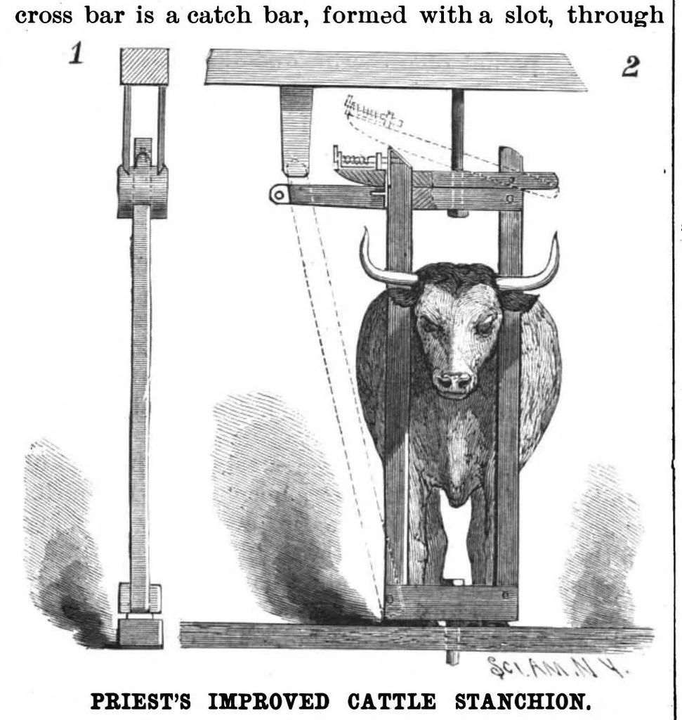 An illustration from Scientific American, Vol. 56, No. 7 (1887), 1887, leaf 3