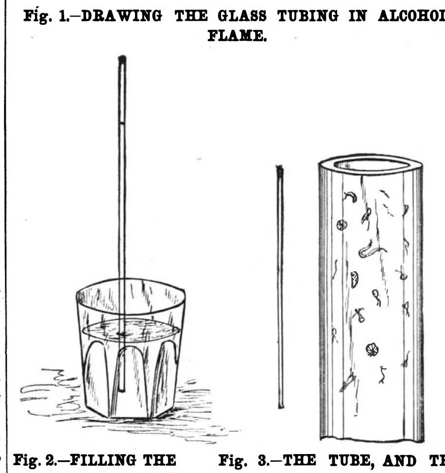An illustration from Scientific American, Vol. 56, No. 7 (1887), 1887, leaf 7