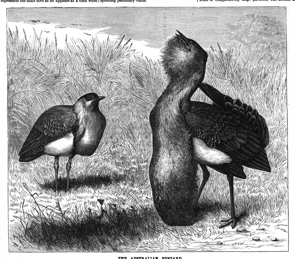An illustration from Scientific American, Vol. 56, No. 7 (1887), 1887, leaf 8