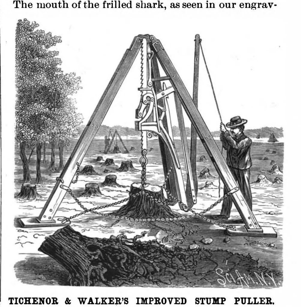 An illustration from Scientific American, Vol. 56, No. 9 (1887), 1887, leaf 3