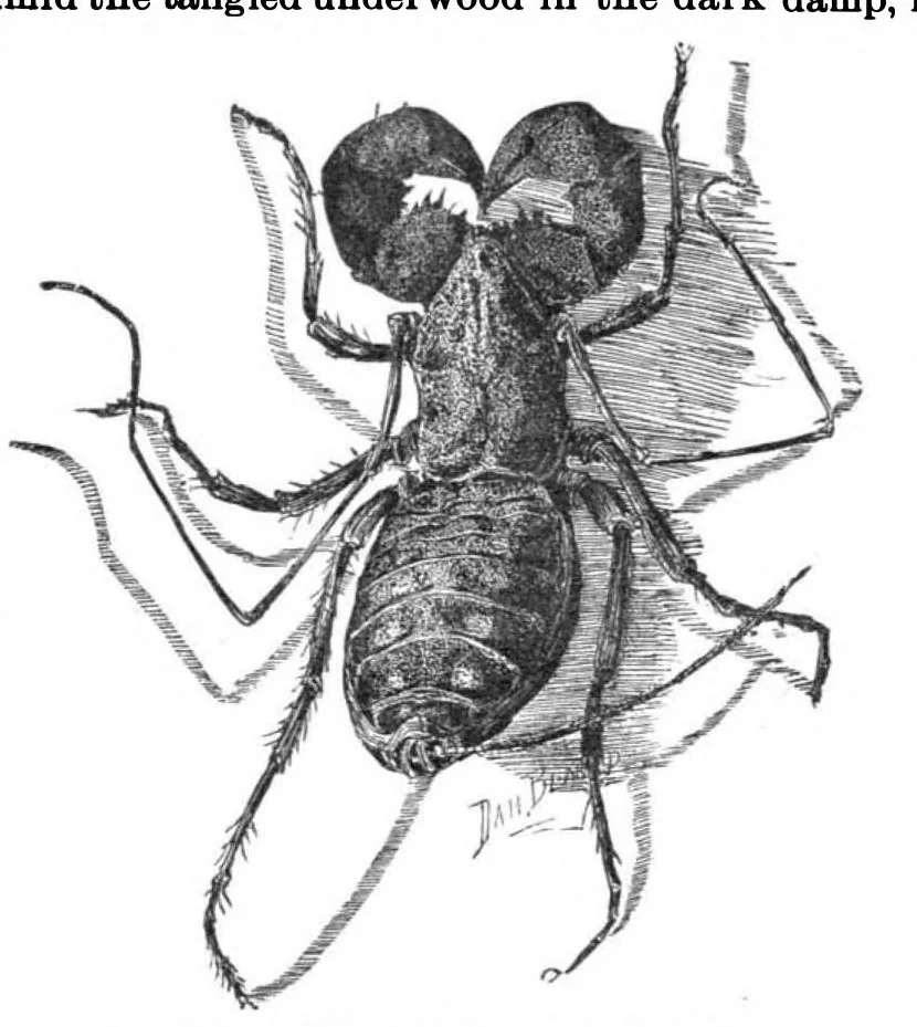 An illustration from Scientific American, Vol. 56, No. 10 (1887), 1887, leaf 10
