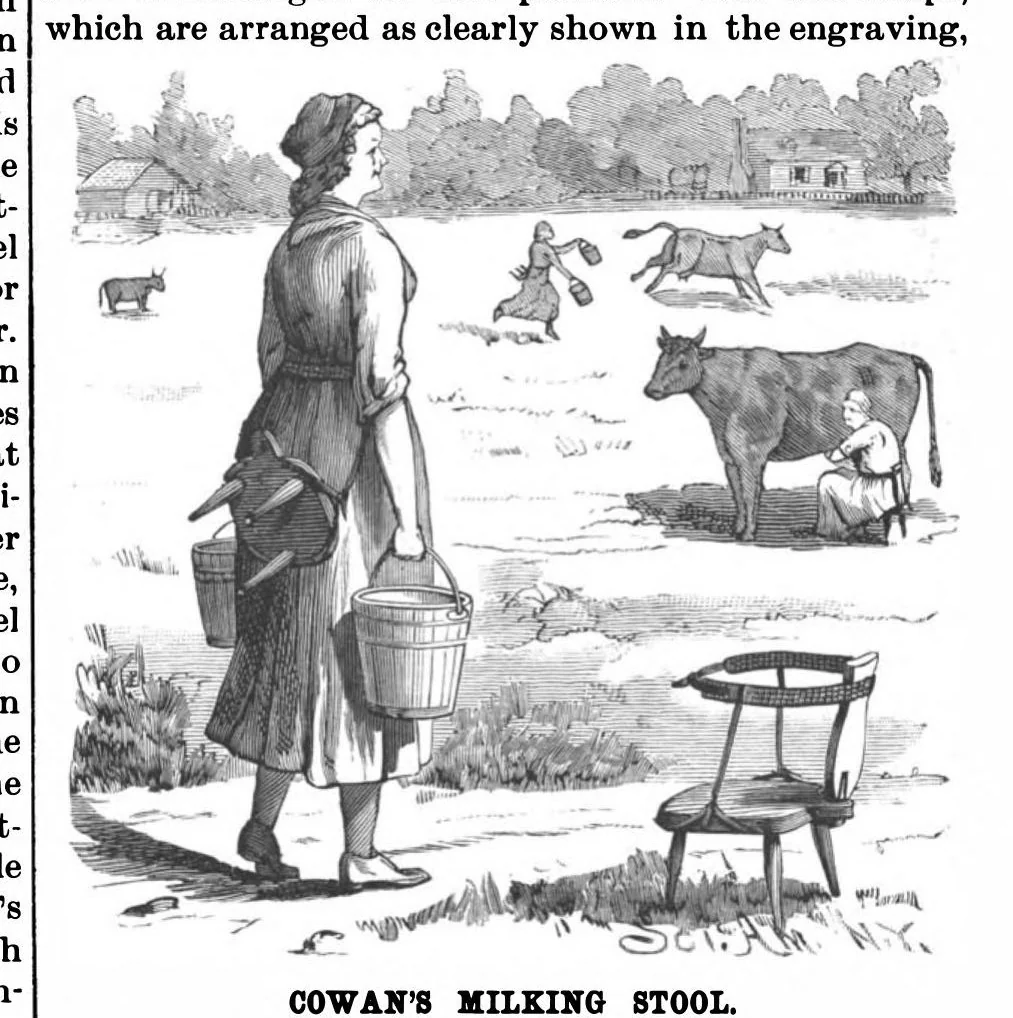 An illustration from Scientific American, Vol. 56, No. 13 (1887), 1887, leaf 4