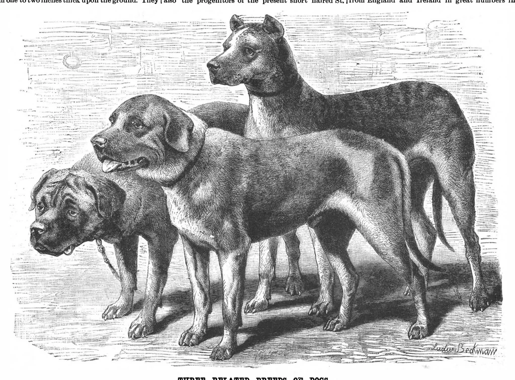 An illustration from Scientific American, Vol. 56, No. 14 (1887), 1887, leaf 8