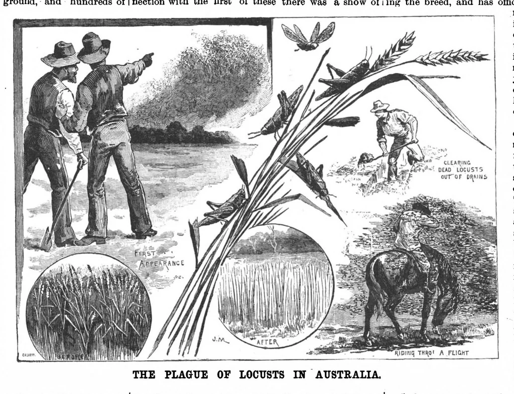 An illustration from Scientific American, Vol. 56, No. 14 (1887), 1887, leaf 8