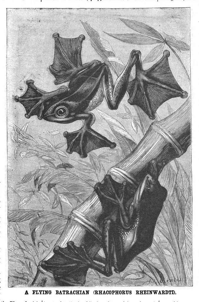 An illustration from Scientific American, Vol. 56, No. 15 (1887), 1887, leaf 10