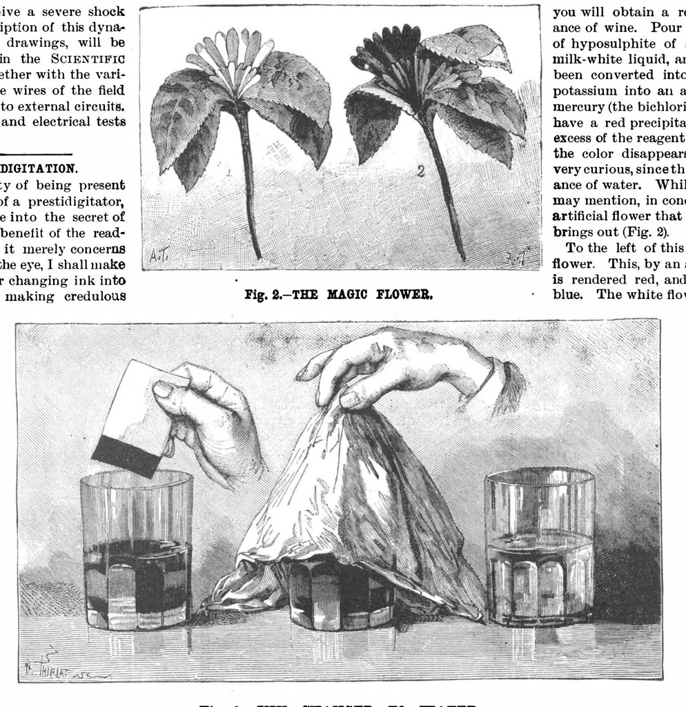 An illustration from Scientific American, Vol. 56, No. 18 (1887), 1887, leaf 8