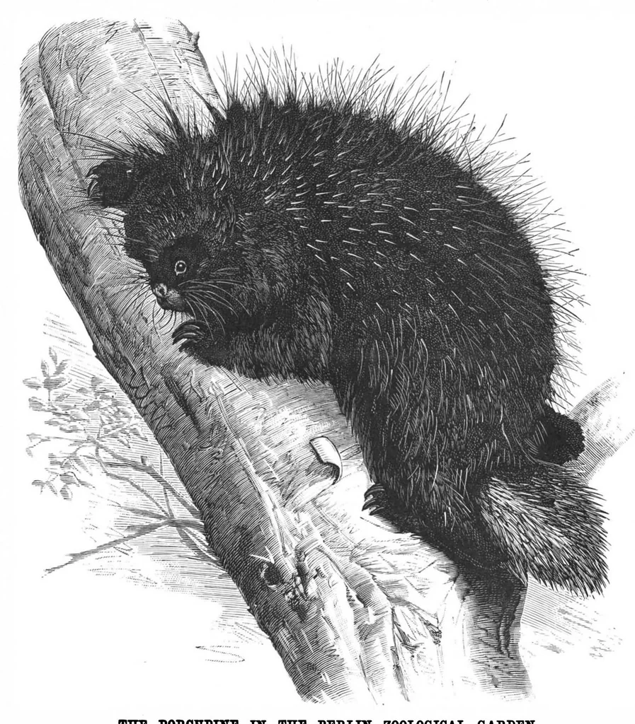 An illustration from Scientific American, Vol. 56, No. 20 (1887), 1887, leaf 8