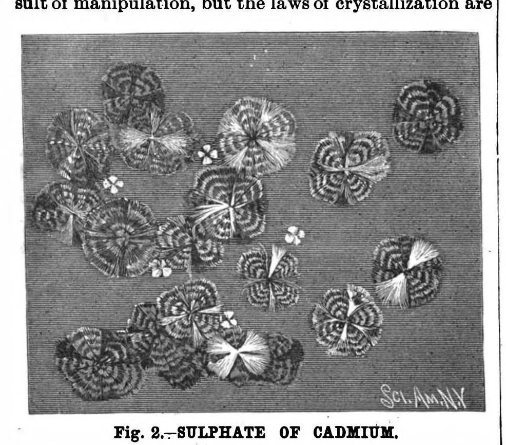 An illustration from Scientific American, Vol. 56, No. 21 (1887), 1887, leaf 10