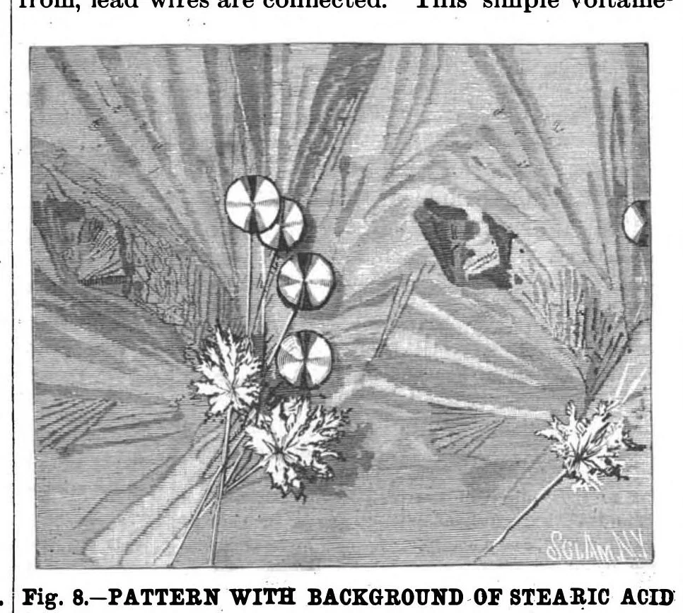 An illustration from Scientific American, Vol. 56, No. 21 (1887), 1887, leaf 10