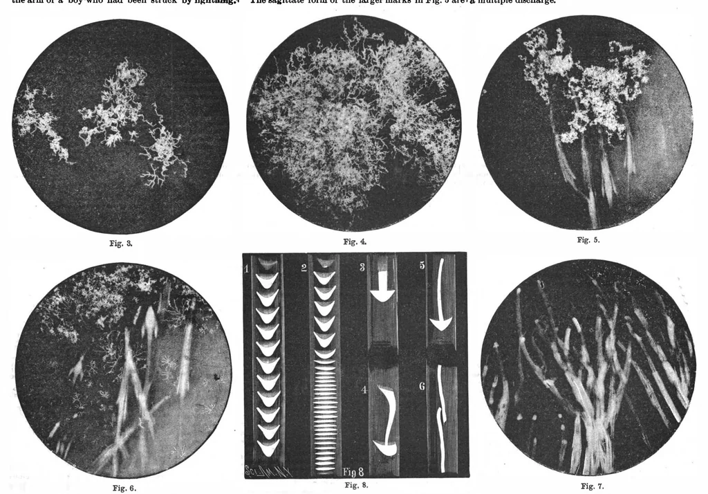 An illustration from Scientific American, Vol. 56, No. 22 (1887), 1887, leaf 10