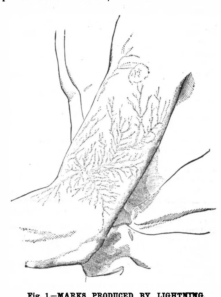 An illustration from Scientific American, Vol. 56, No. 22 (1887), 1887, leaf 10