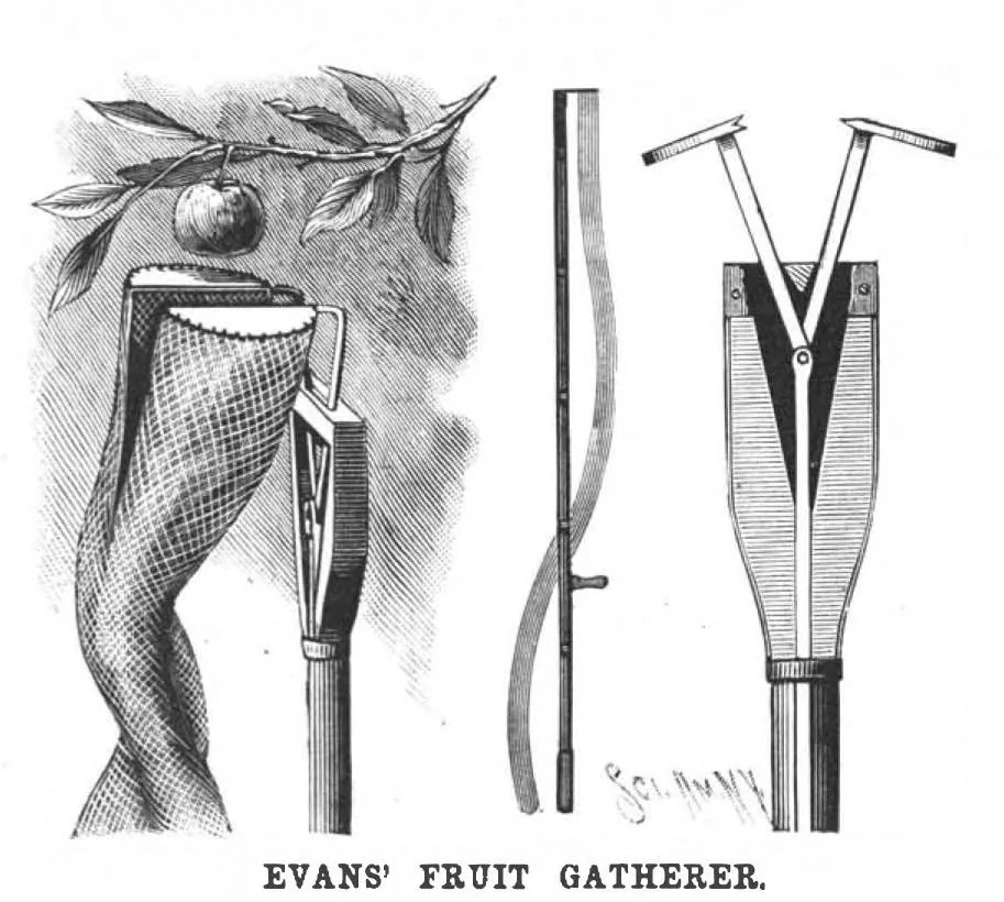An illustration from Scientific American, Vol. 56, No. 24 (1887), 1887, leaf 3