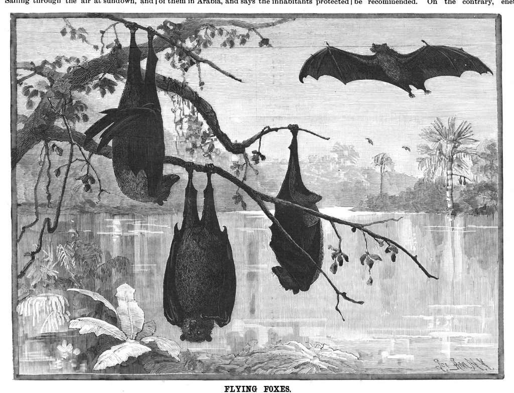An illustration from Scientific American, Vol. 57, No. 1 (1887), 1887, leaf 9