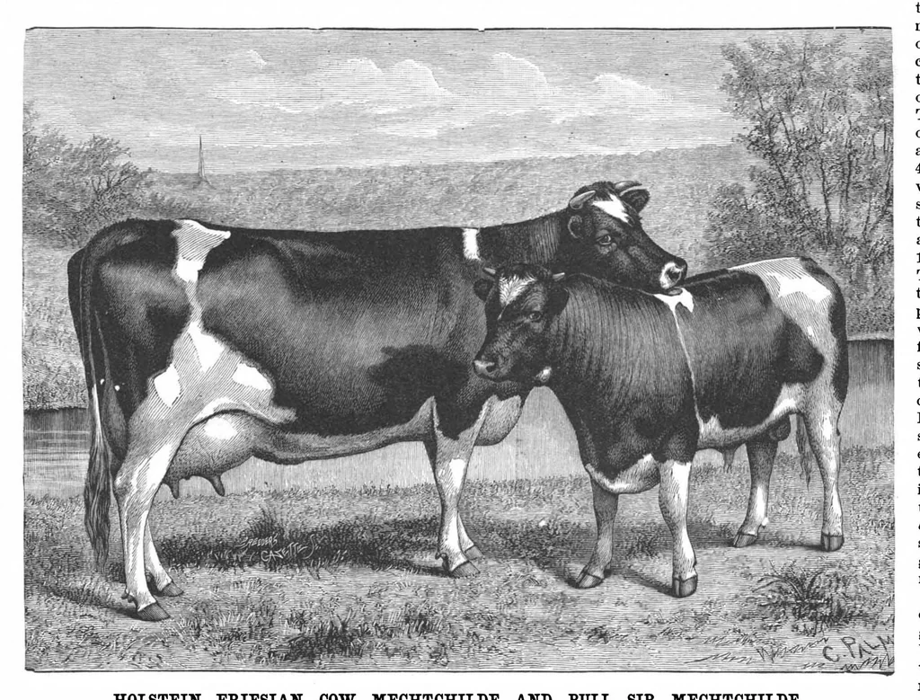 An illustration from Scientific American, Vol. 57, No. 5 (1887), 1887, leaf 8