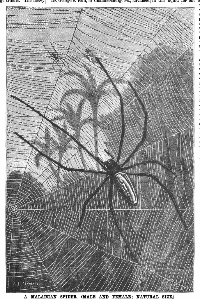 An illustration from Scientific American, Vol. 57, No. 6 (1887), 1887, leaf 8