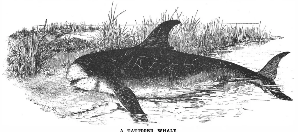 An illustration from Scientific American, Vol. 57, No. 9 (1887), 1887, leaf 8