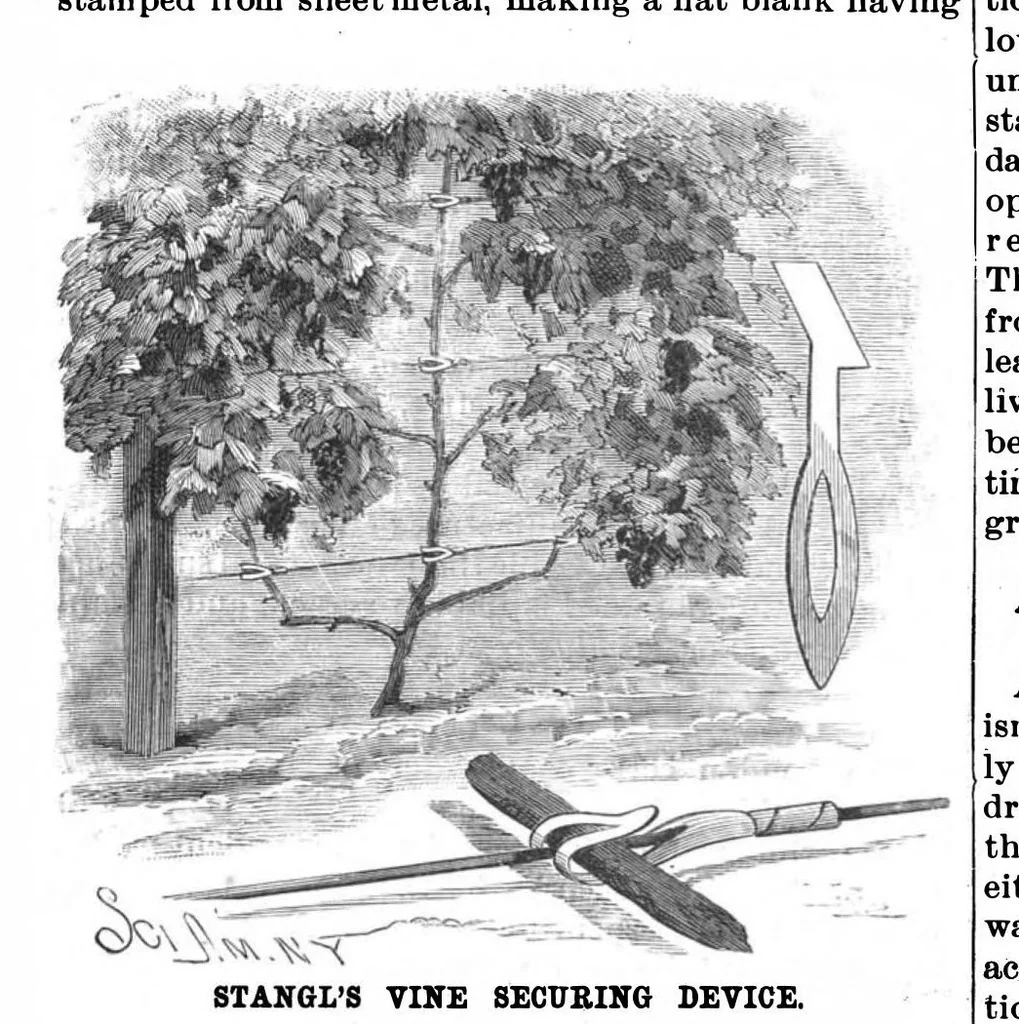 An illustration from Scientific American, Vol. 57, No. 11 (1887), 1887, leaf 4